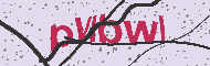 Codice captcha