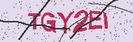 Codice captcha