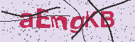 Codice captcha