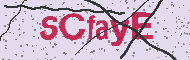 Codice captcha