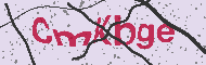 Codice captcha