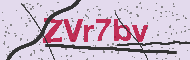 Codice captcha